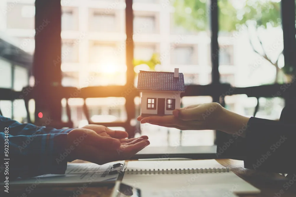 Real estate consultation and home planning